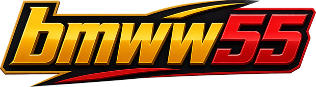 bmww55